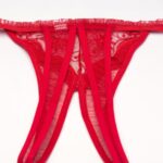 Shirley of Hollywood 10 Thong Red 3 Shop thongs at secretsofsilk. Com