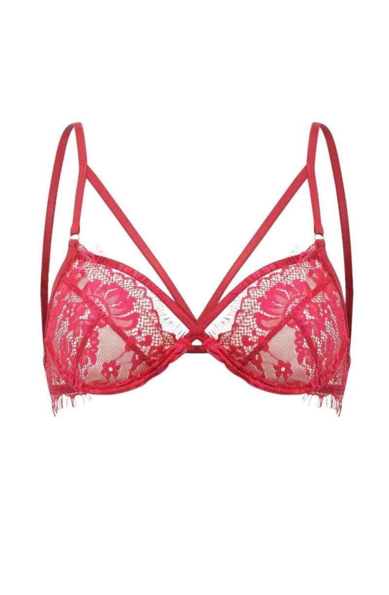 Shop bras at secretsofsilk. Com