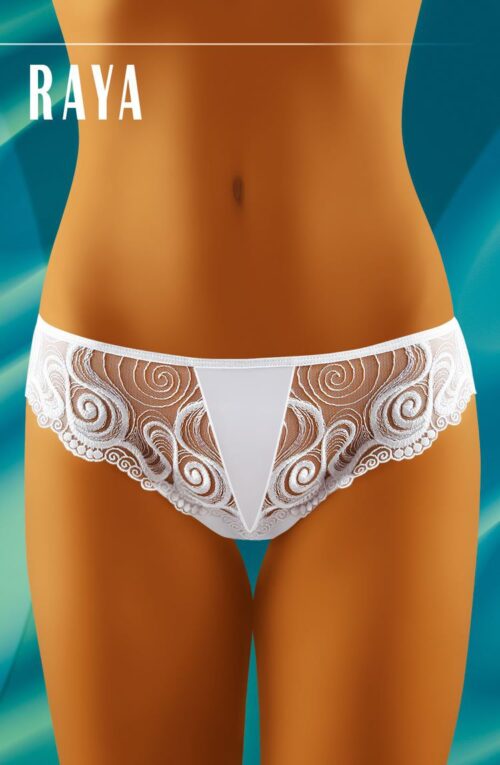 Shop Briefs at Secretsofsilk.com
