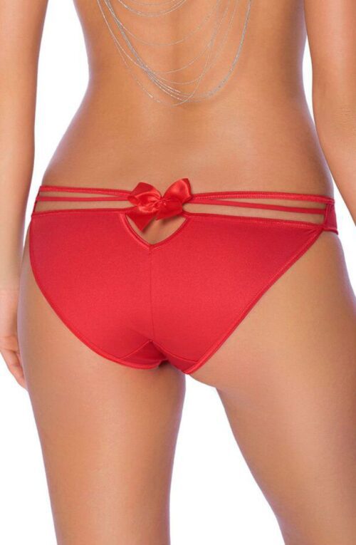 Shop Briefs at Secretsofsilk.com