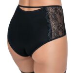 Roza Zulaj Boxer Brief Black 7 Shop briefs at secretsofsilk. Com